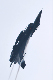 image0412