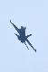 image0456