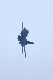 image0458