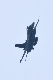 image0464