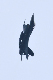 image0470