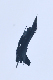 image0472
