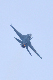 image0487