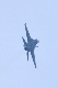 image0490