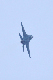 image0491