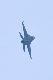 image0492