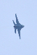 image0494
