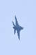 image0495