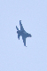 image0502