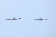 image0521