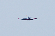 image0555