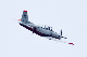 image0575