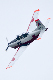 image0614