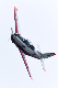 image0678