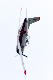 image0683