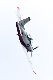 image0684