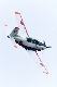 image0687