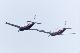 image0752