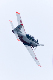 image0774