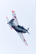 image0775