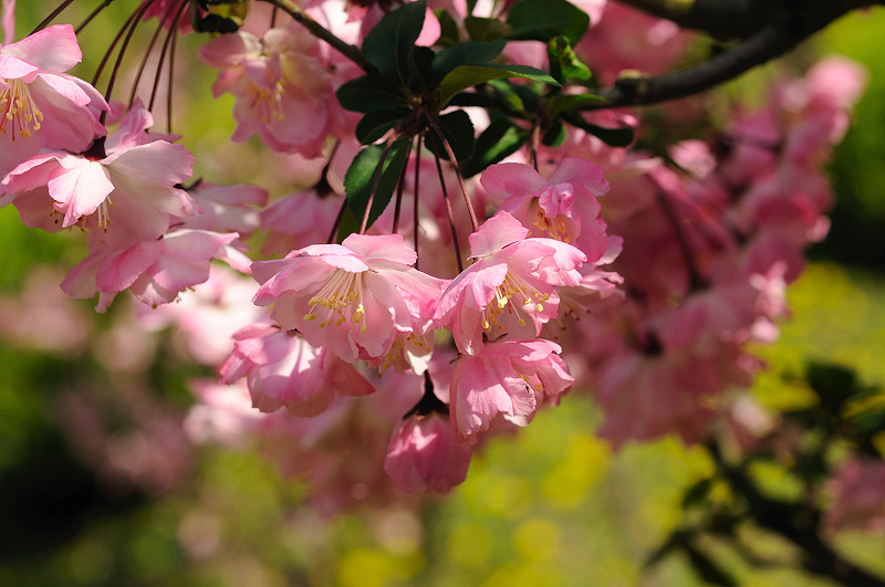 image0073