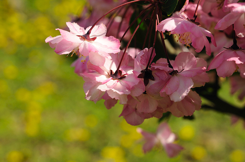 image0074