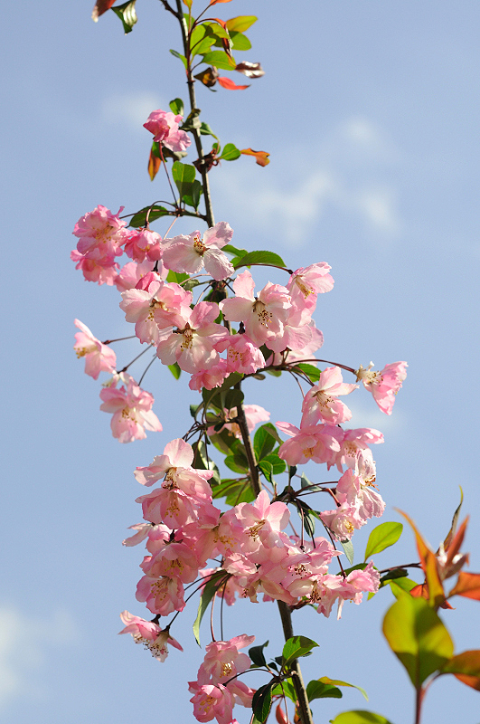 image0082