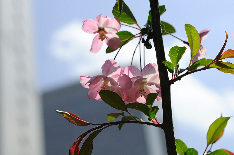 image0087