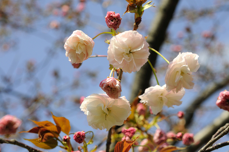 image0130
