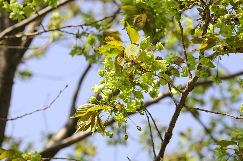 image0140