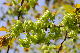 image0162