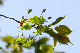 image0166
