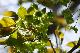 image0170