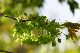 image0171