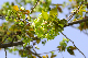 image0173