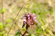 image0176