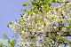 image0177