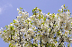 image0178