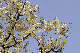image0179