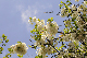 image0180