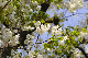 image0182