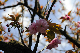 image0190