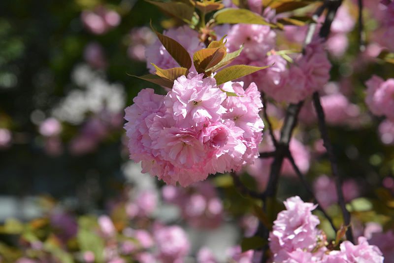 image0101