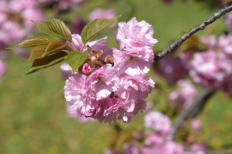 image0104