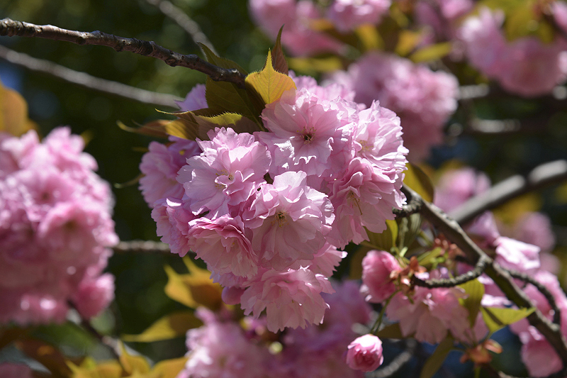 image0107