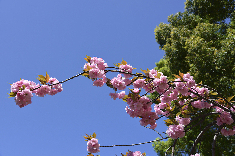 image0109