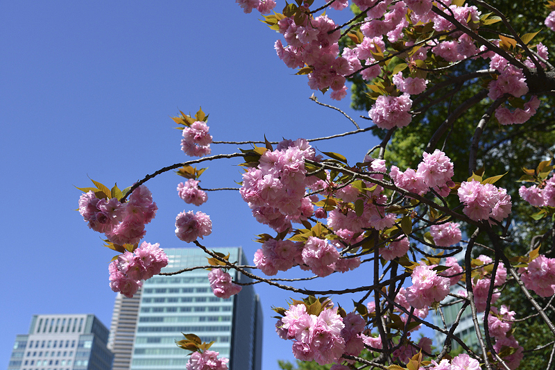 image0110