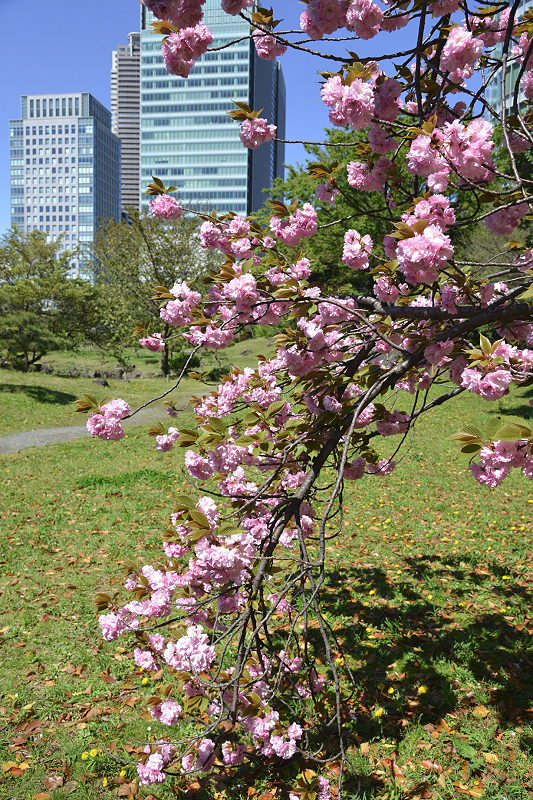 image0111