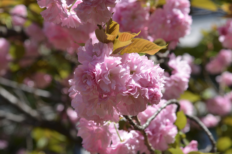image0112