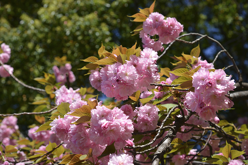 image0114